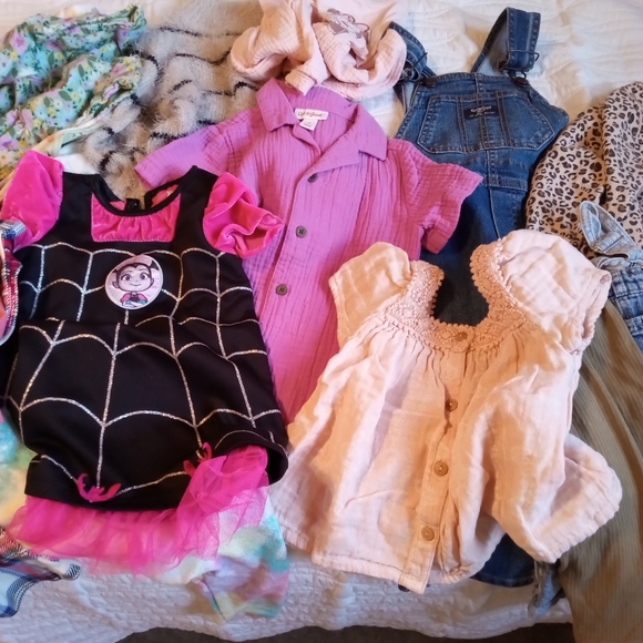 Girls 2T Clothes Lot. - Picture 1 of 11